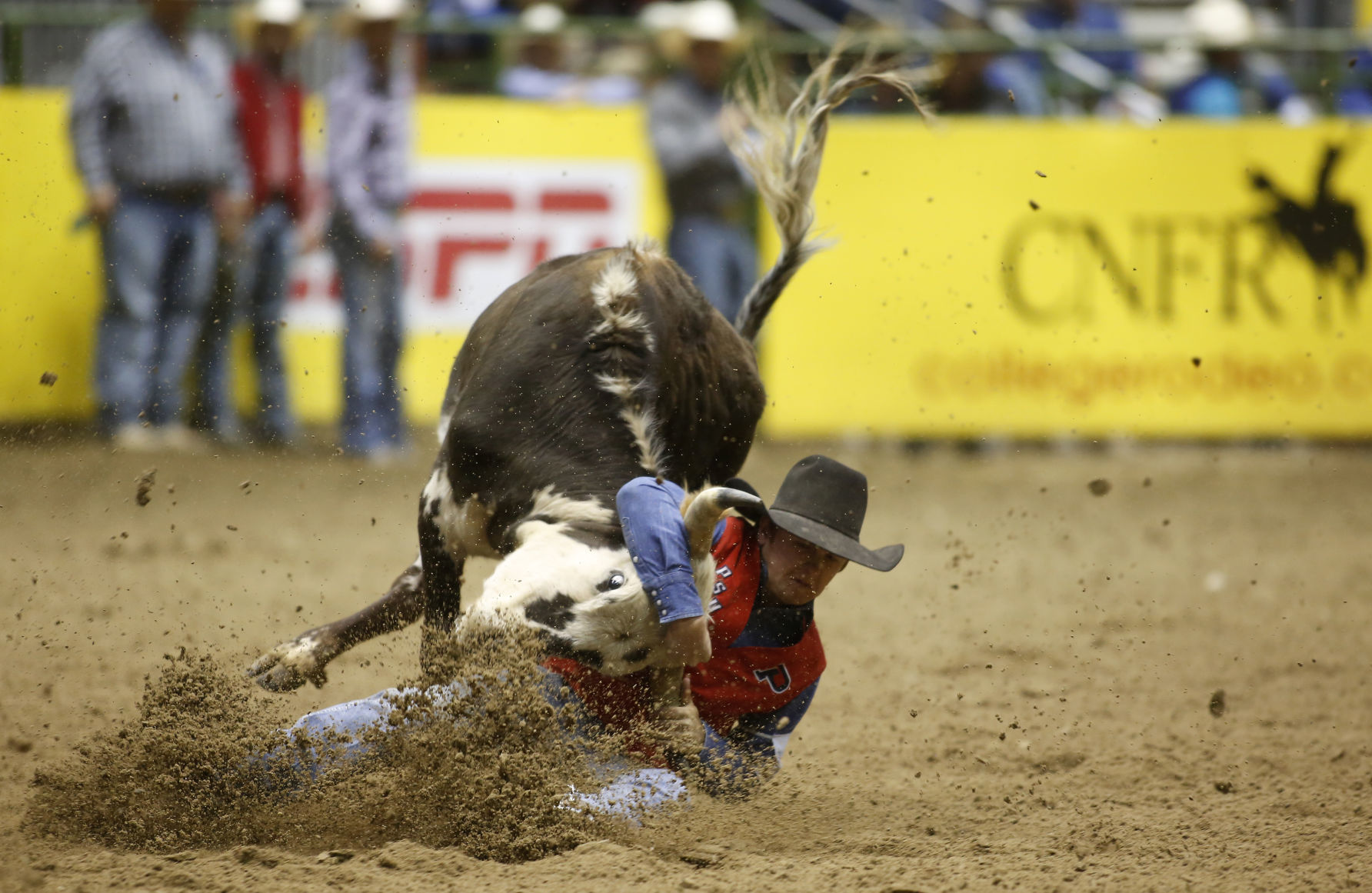 CNFR - Monday